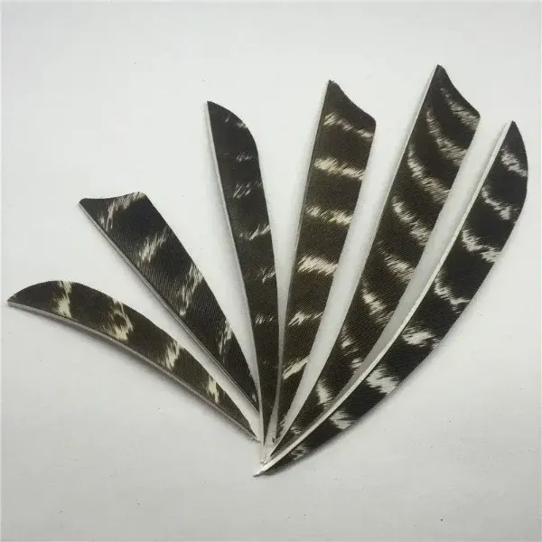 Picture of Floral Black Archery Hunting Arrow Turkey Feather 50 pcs 3inches 4inches 5inches