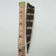 Picture of Floral Black Archery Hunting Arrow Turkey Feather 50 pcs 3inches 4inches 5inches