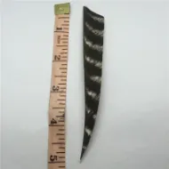 Picture of Floral Black Archery Hunting Arrow Turkey Feather 50 pcs 3inches 4inches 5inches
