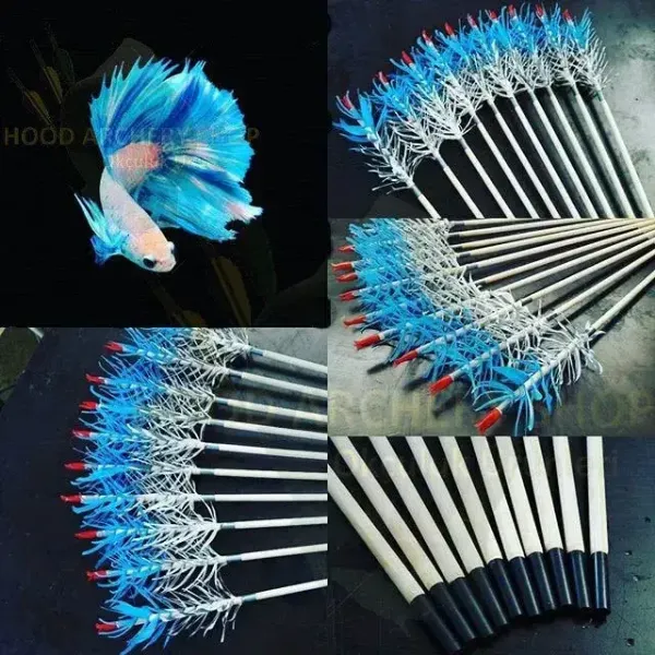 Gambar Panah Memanah Popinjay Qabak Kayu Untuk Recurve Longbow Bow Tembak Memburu Uthmaniyyah Tradisional Zaman Pertengahan dengan Bulu Turki Biru Putih