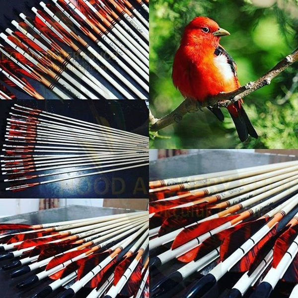 Picture of Wooden Archery Arrow For Recurve Longbow Bow Medieval Traditional Ottoman Hunting Shoot with Orange Black Turkey Feather