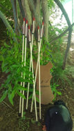 Изображение Средневековая традиционная стрела для стрельбы из лука для изогнутого длинного лука, охотничий лук для стрельбы из лука с коричневым пером индейки
