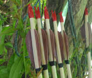 Imagen de Flecha de tiro con arco tradicional Medieval para arco largo recurvo, tiro con arco de caza con pluma de pavo marrón