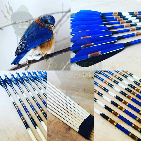 Picture of Medieval Traditional Ottoman Hunting Archery Arrow For Recurve Longbow Bow Shoot with Painted Brown Detail Blue Black Turkey Feather