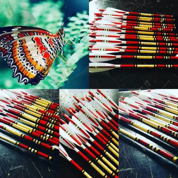 Gambar Anak Panah Memanah Kayu Untuk Recurve Longbow Bow Tembak Memburu Tradisional Uthmaniyyah Zaman Pertengahan dengan Bulu Turki Putih