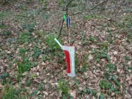 Bild von Türkischer traditioneller osmanischer Pferderücken-Bogenschießen-Hüftköcher aus Leder für Damen, Tirkes-Motive, Rittergürtelköcher, mittelalterliche Fantasie