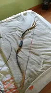 Poza cu Arc de cal recurb laminat din lemn pentru tir cu arcul tradițional medieval Arc lung Vânătoare nomadă Tir cu arcul Arc de cal mongol Tir cu arcul