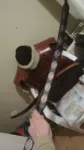 Fantastic Painted Bow! の画像