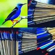 Afbeeldingen van Middeleeuwse traditionele boogschietpijl voor recurve boog, handboog jachtboog schieten met blauwe kalkoenveer