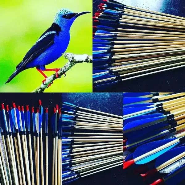 Afbeeldingen van Middeleeuwse traditionele boogschietpijl voor recurve boog, handboog jachtboog schieten met blauwe kalkoenveer