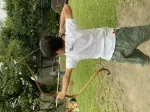 Immagine di From Japan 3!