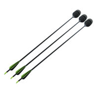 Picture of custom arrows