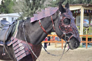 Dwarf Horse Collar Armor Costume Horse breastplate bridle headstall collar warrior horse tack wither strap barrel. ürün görseli