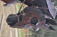Picture of Dwarf Horse Collar Armor Costume Horse breastplate bridle headstall collar warrior horse tack wither strap barrel