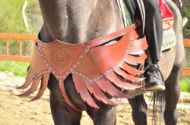Picture of Leather Horse Collar Armor Costume Horse breastplate bridle headstall collar warrior horse tack wither strap barrel
