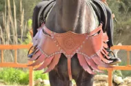 Picture of Leather Horse Collar Armor Costume Horse breastplate bridle headstall collar warrior horse tack wither strap barrel