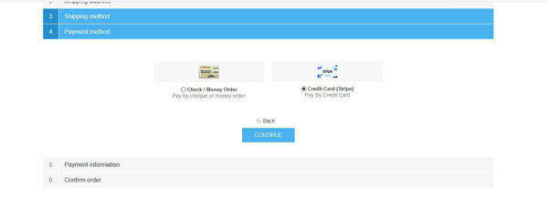 Picture of Stripe Plugin For Nopcommerce 4.40
