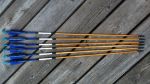 Blue/black wooden arrows with castle nocks の画像