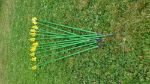 Billede af Wonderful arrows