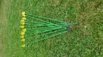 Poza cu Wonderful arrows
