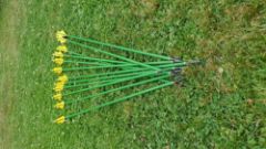 Picture of Wonderful arrows