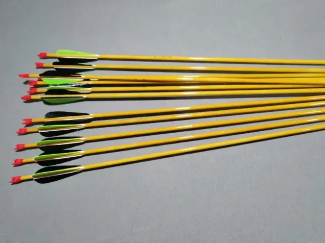Flèches Carbone 30 Pouces Pour Arc Recourbé – Plumes Dinde – Lot 6/12