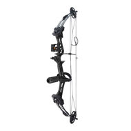 Picture of Compound Bow Archery Hunting For Hunters Professional Hunting Bow