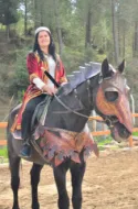 Obrazek Elven Horse Collar Armor Costume Lord Of The Rings Elf Horse breastplate bridle headstall collar warrior horse tack wither strap barrel