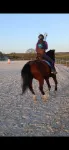 Picture of Superbe carquois de dos pour le TAC