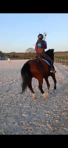 Picture of Superbe carquois de dos pour le TAC